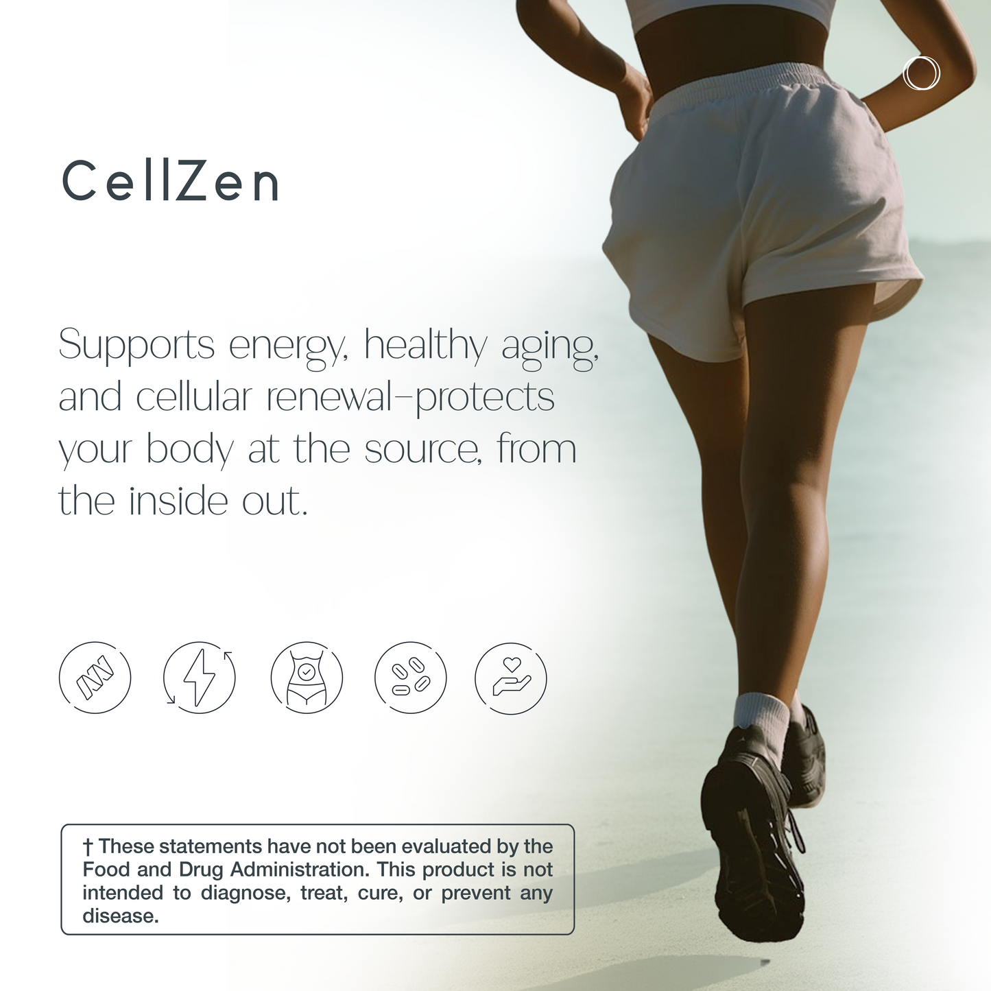 CellZen