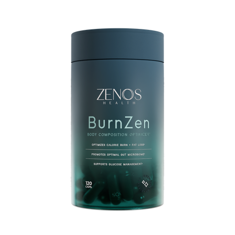 BurnZen_1