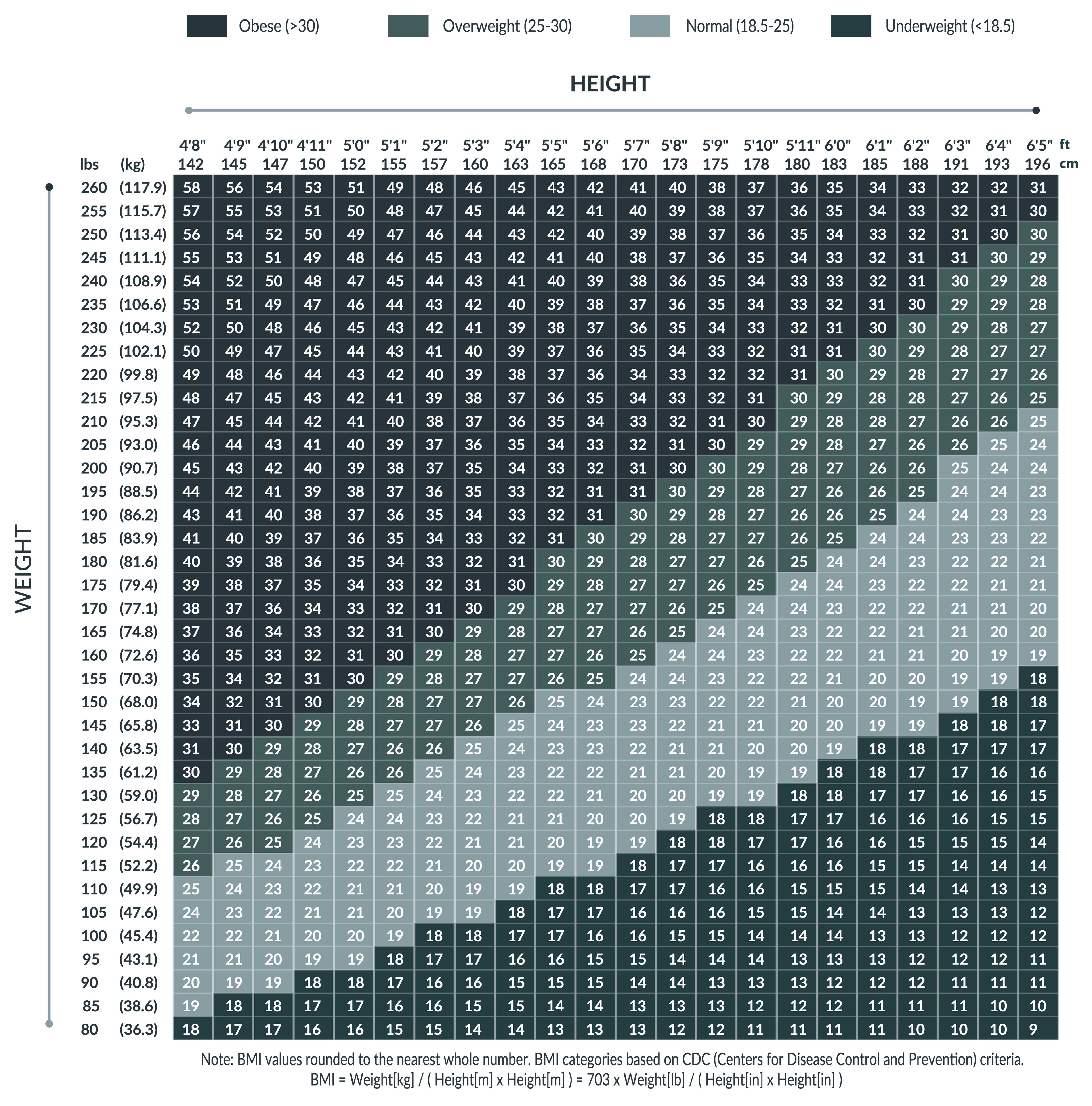 BMI Image