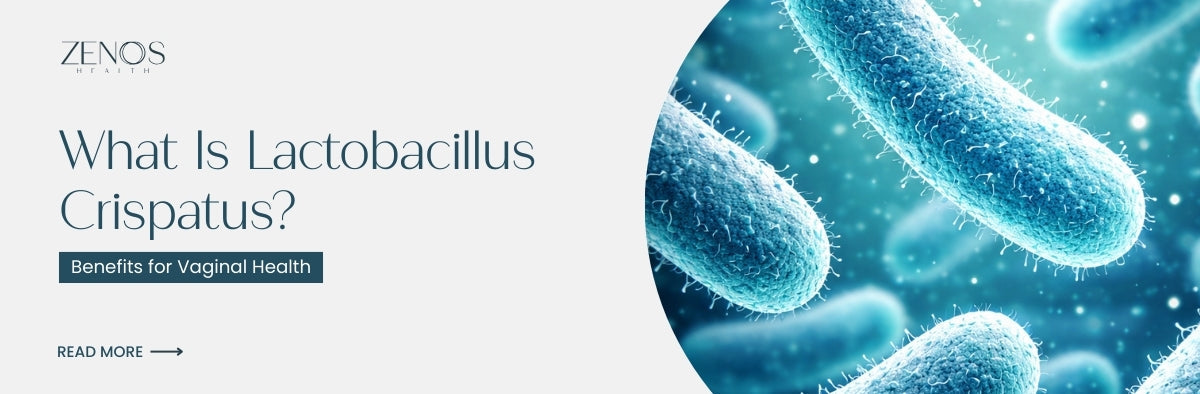  What Is Lactobacillus Crispatus? Benefits for Vaginal Health