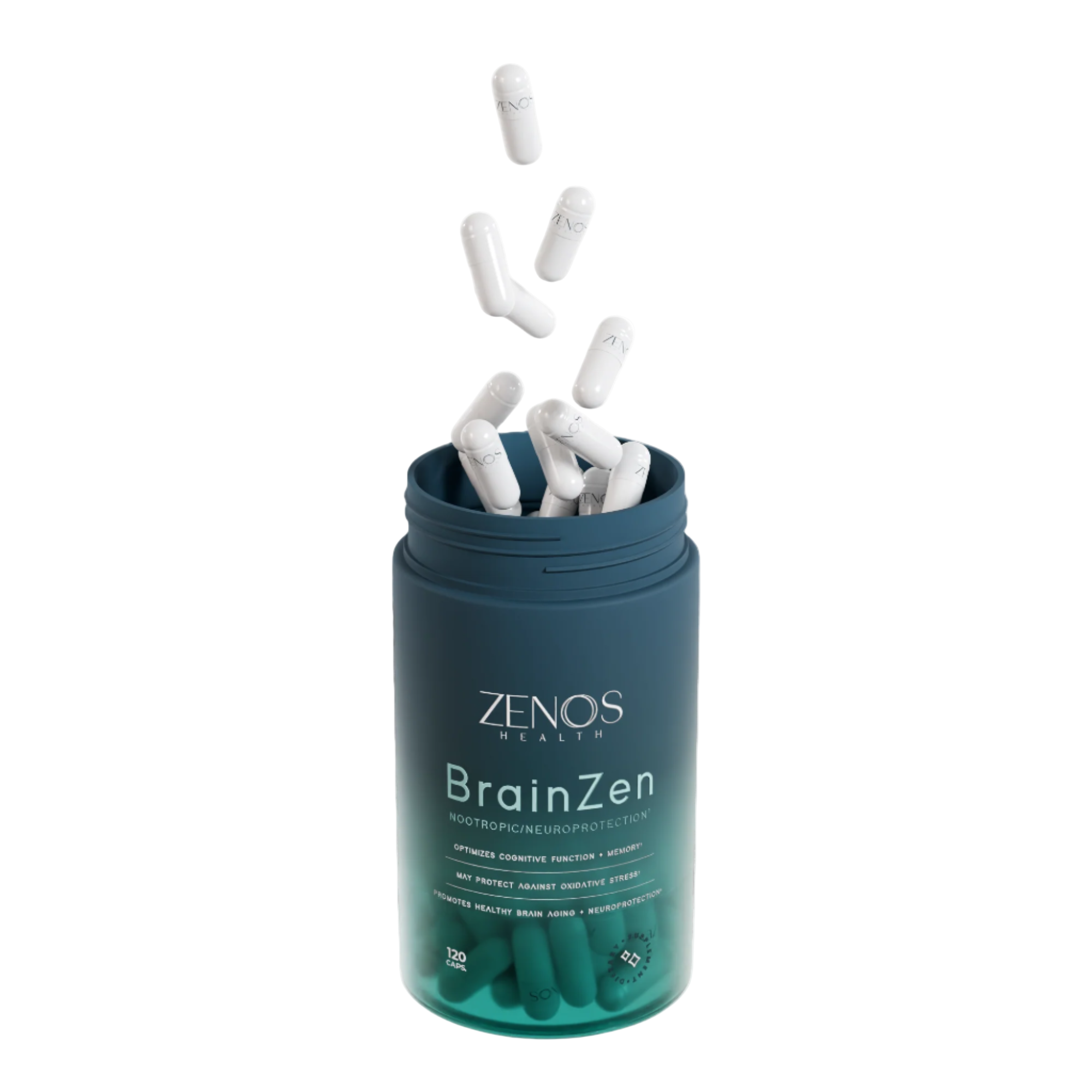 BrainZen_1