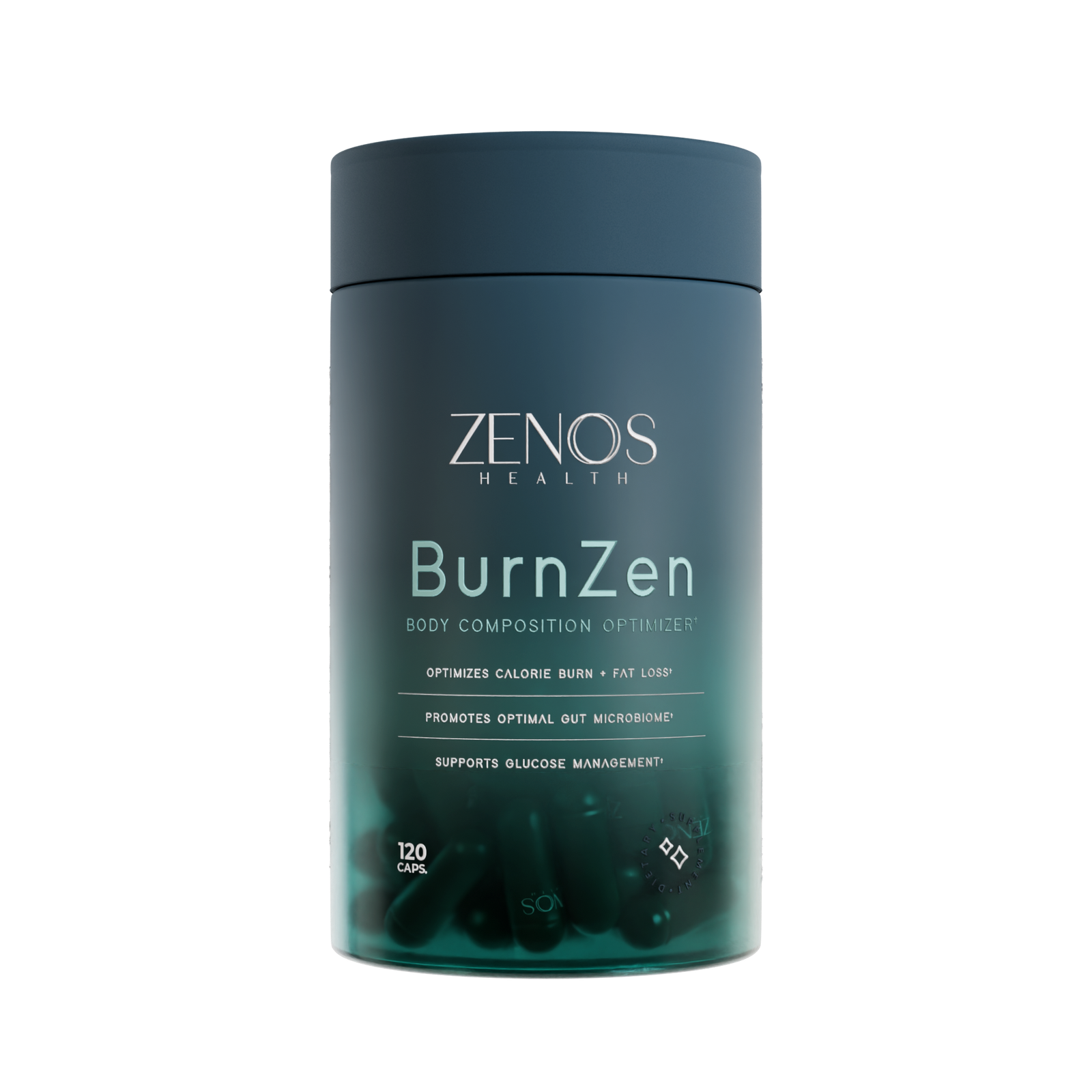 BurnZen_1