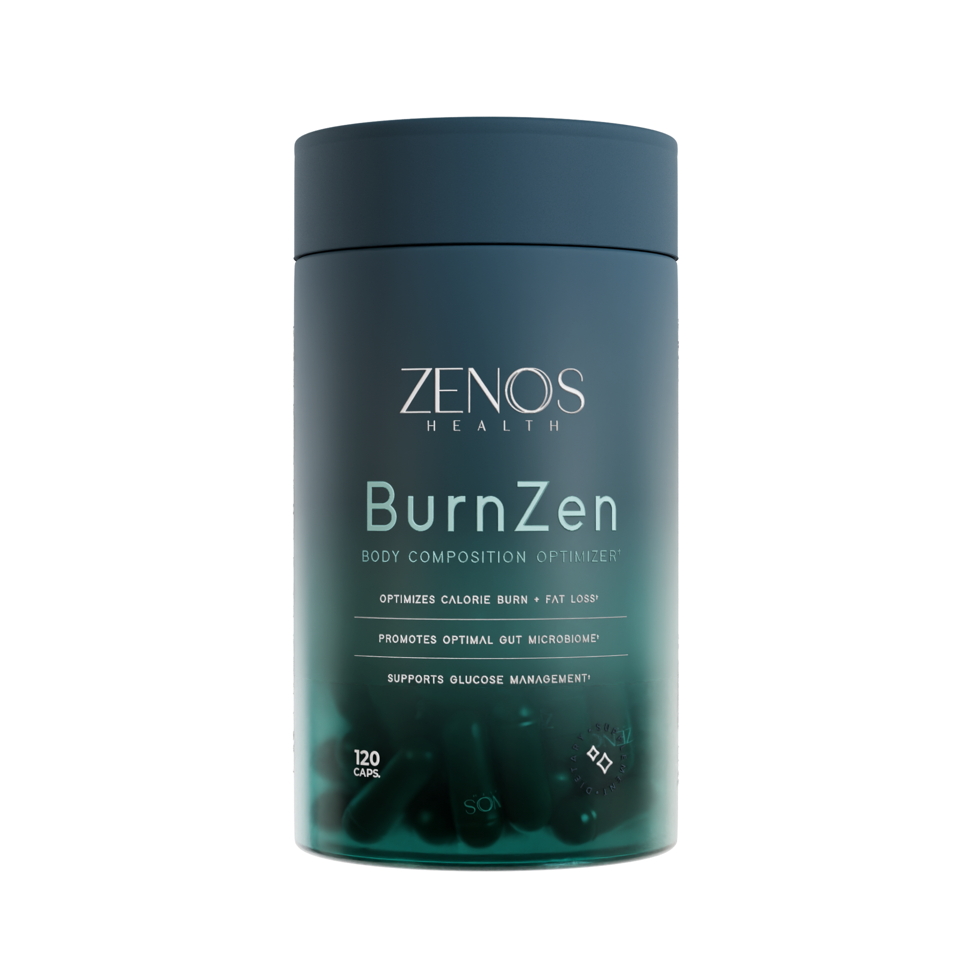 BurnZen_1