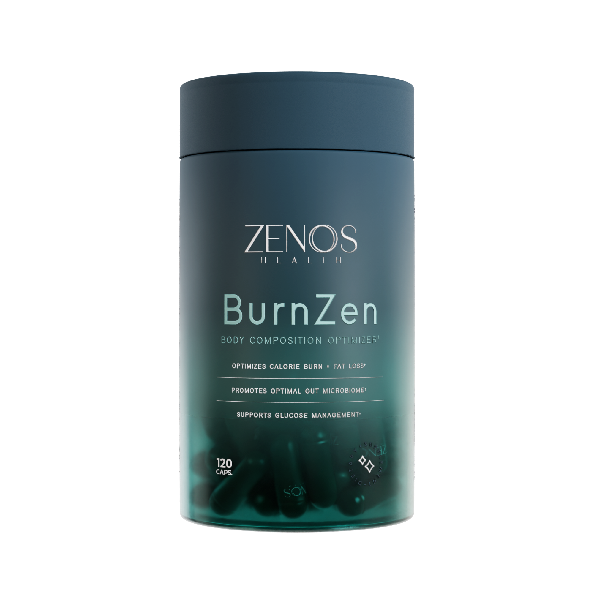 BurnZen_1