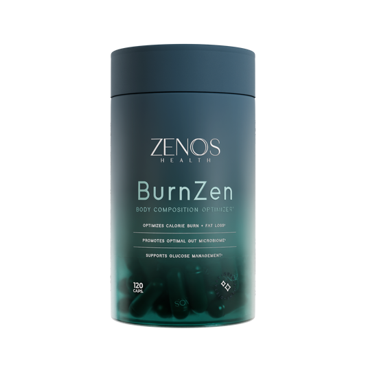 BurnZen_1