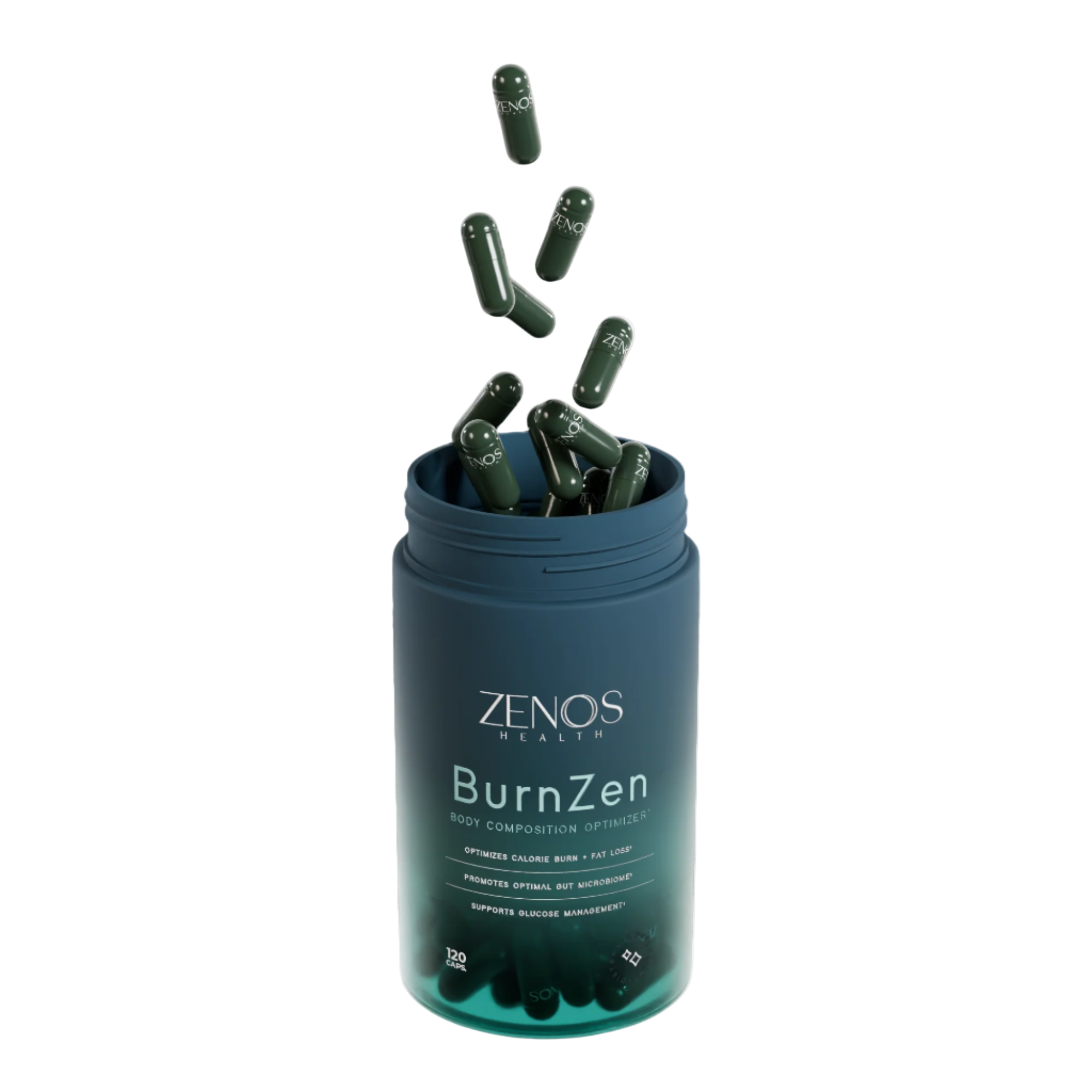 BurnZen_1