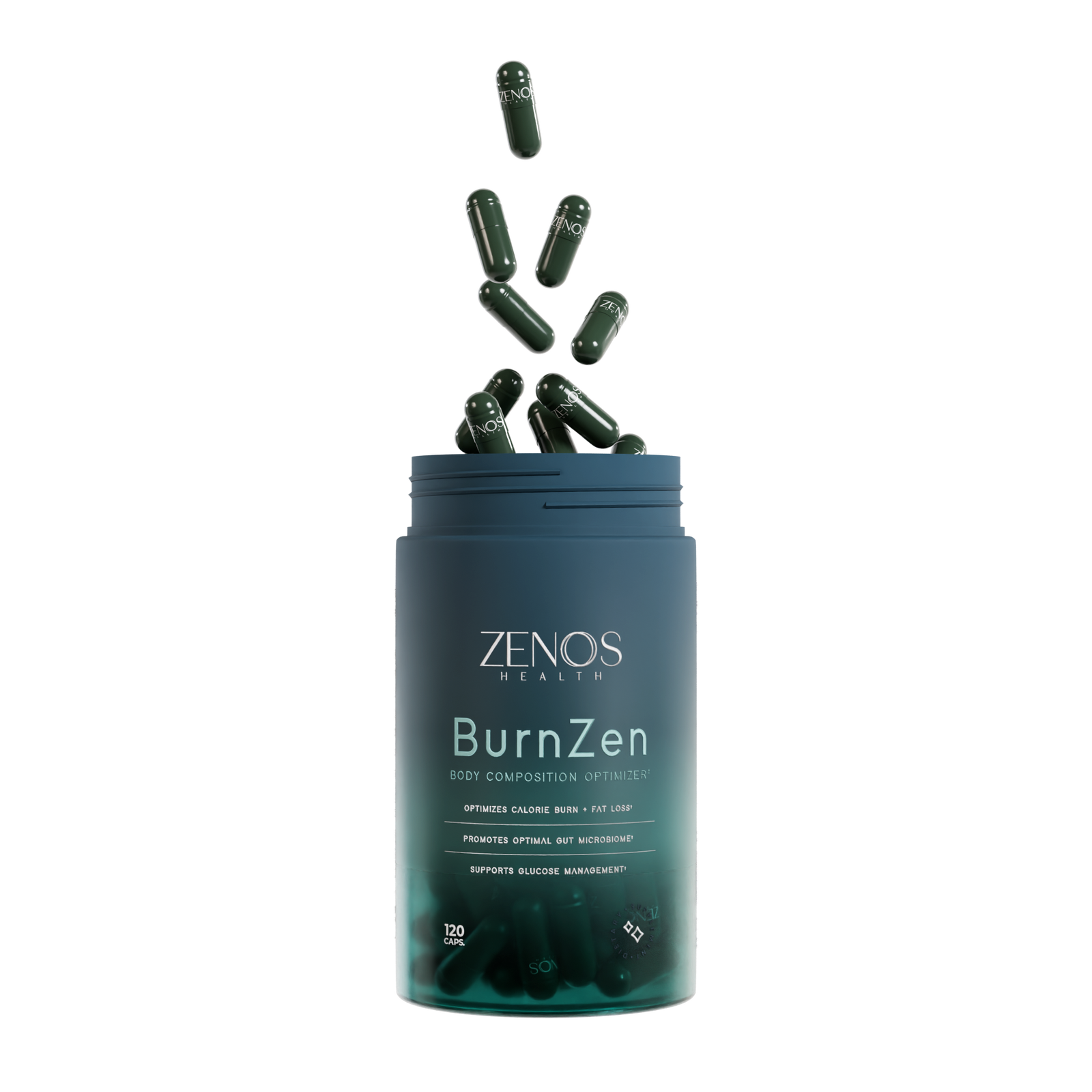 BurnZen_4