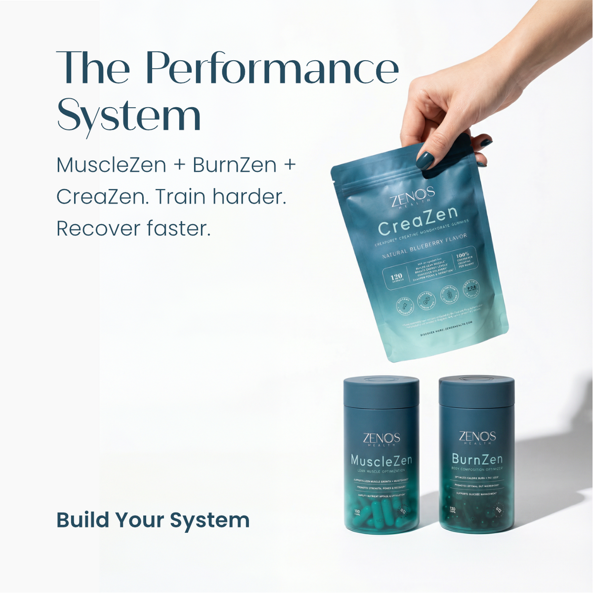 Performance System