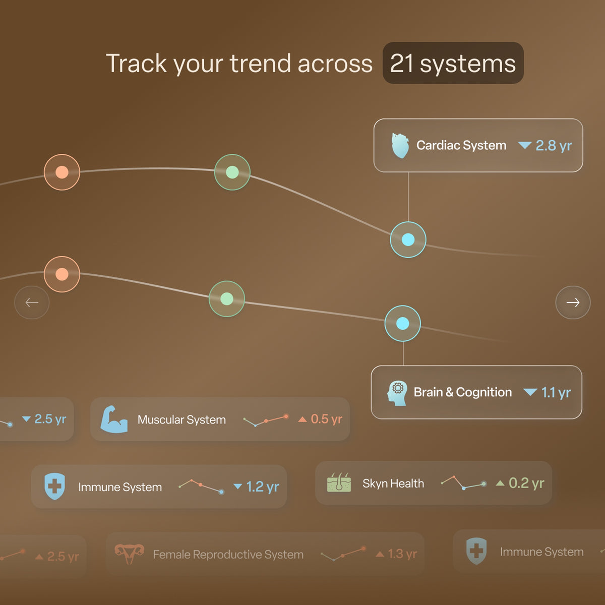 The SystemAge™ Test + Action Plan