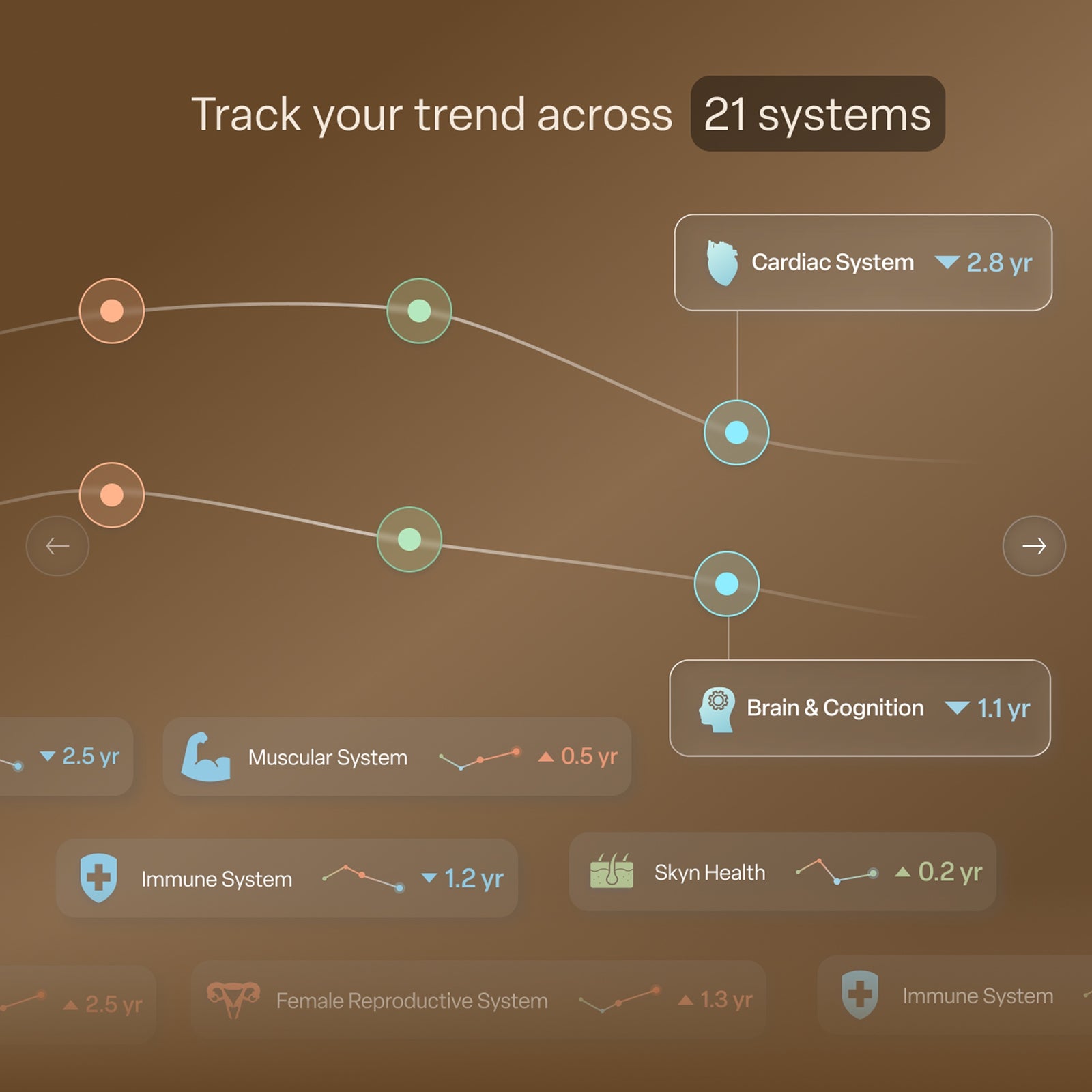 The SystemAge™ Test + Action Plan